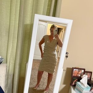 ADRIANNA  PAPELL Dress Size 6. Excellent Condition. Stunning Dress
